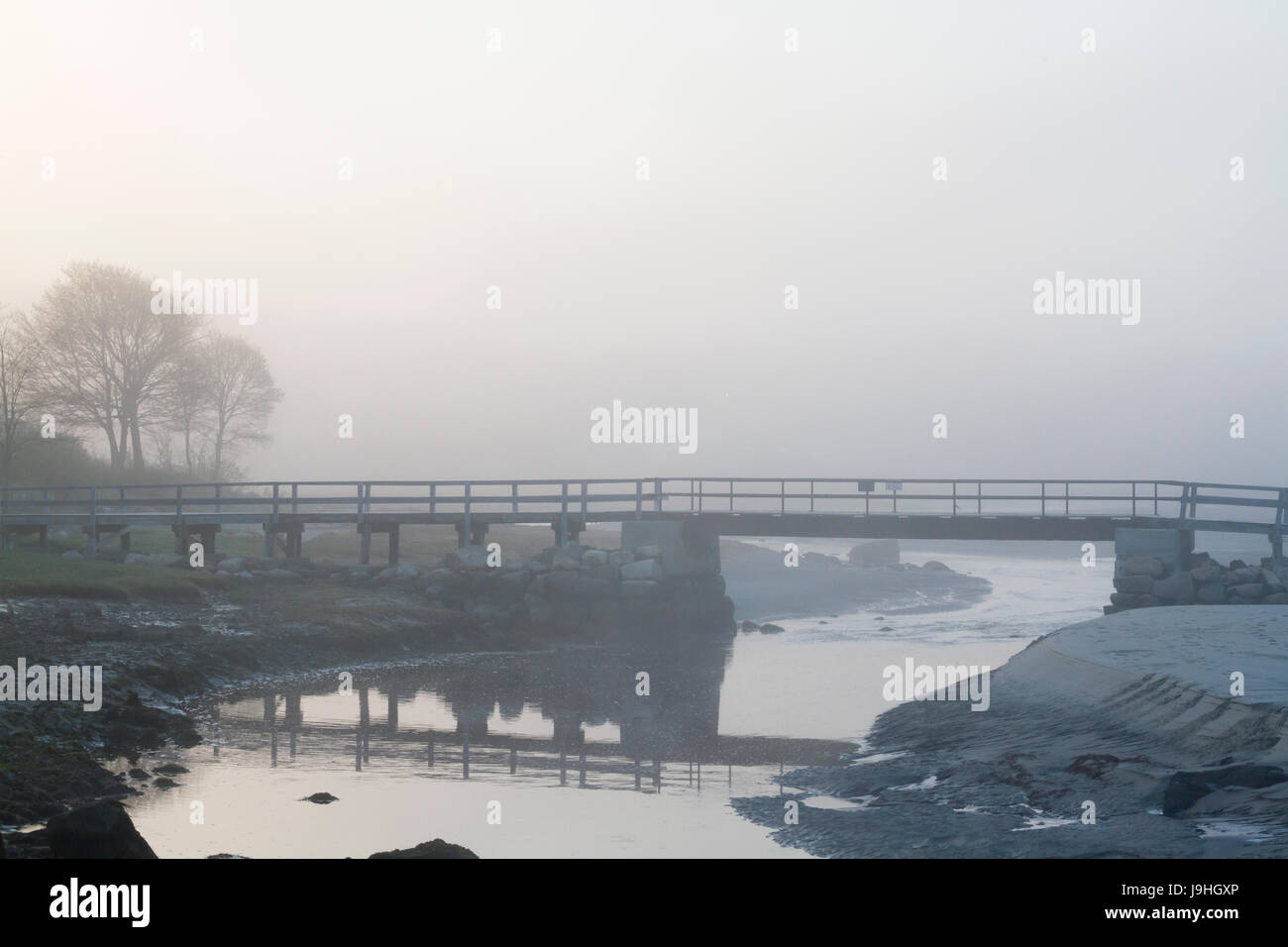 Bridge over creek and trees in fog Stock Photo