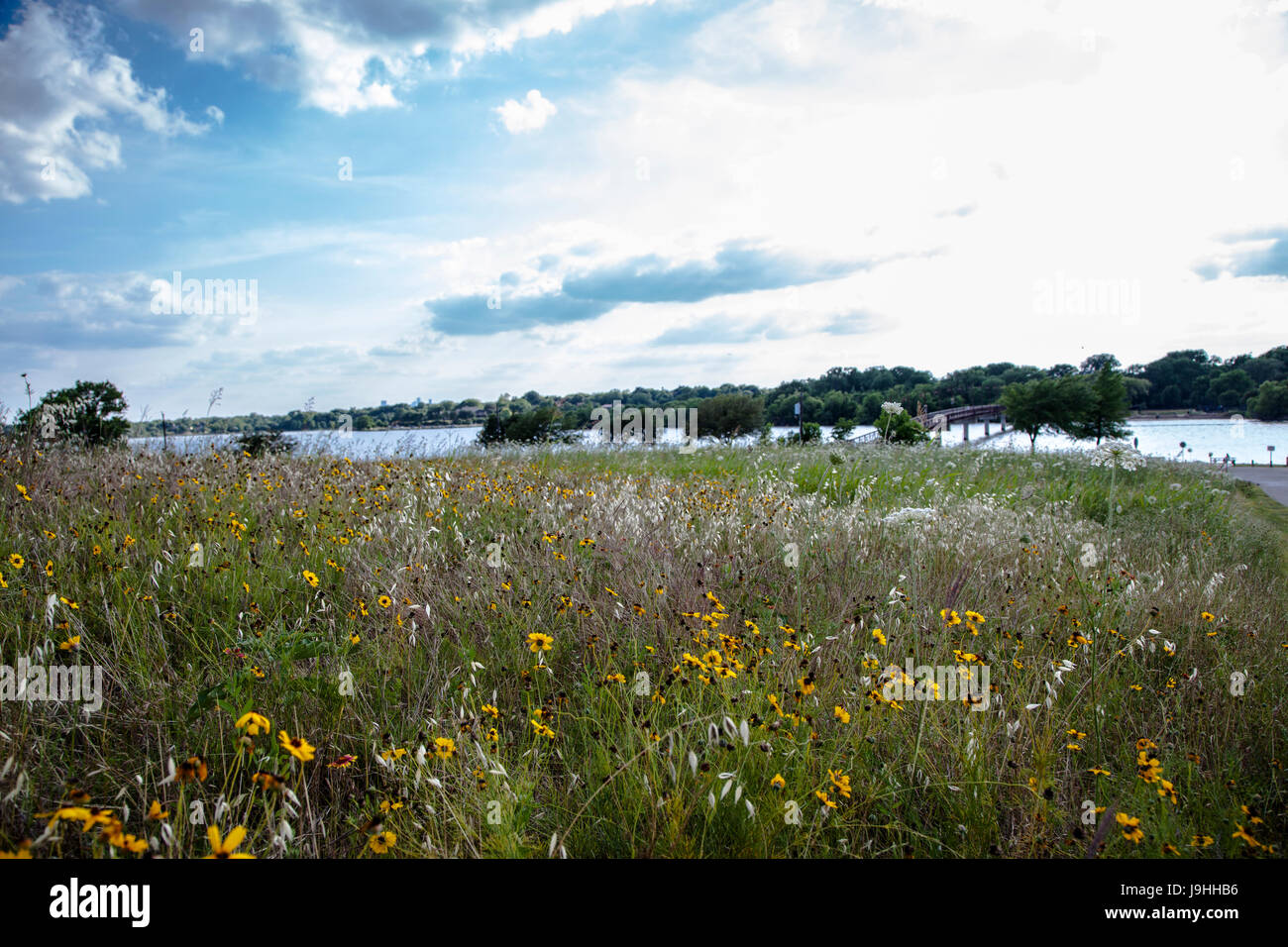 White Rock Lake in Dallas Texas Stock Photo Alamy