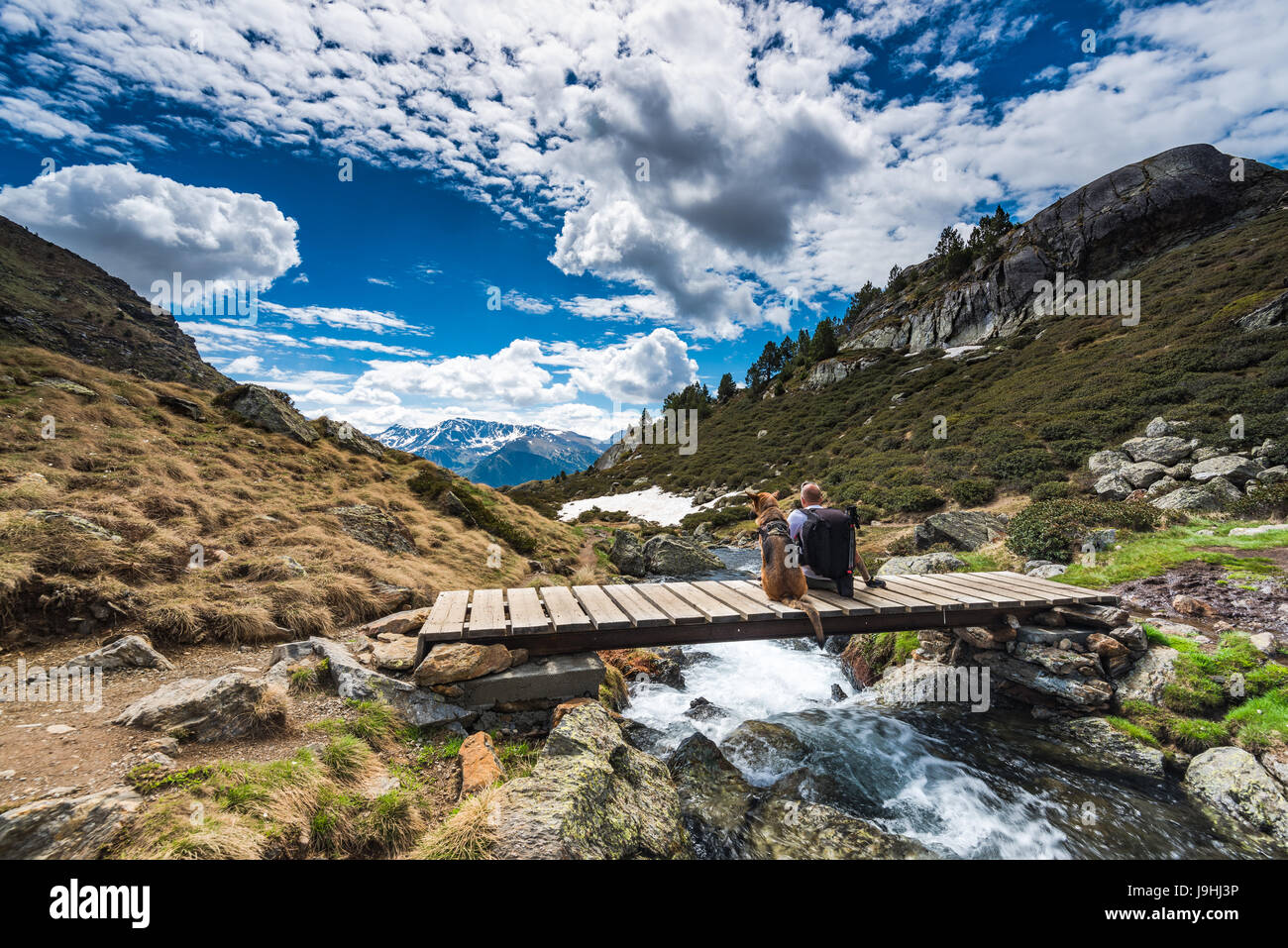 Wanderluster hiker sitting with dog in mountains on wooden bridge Stock Photo