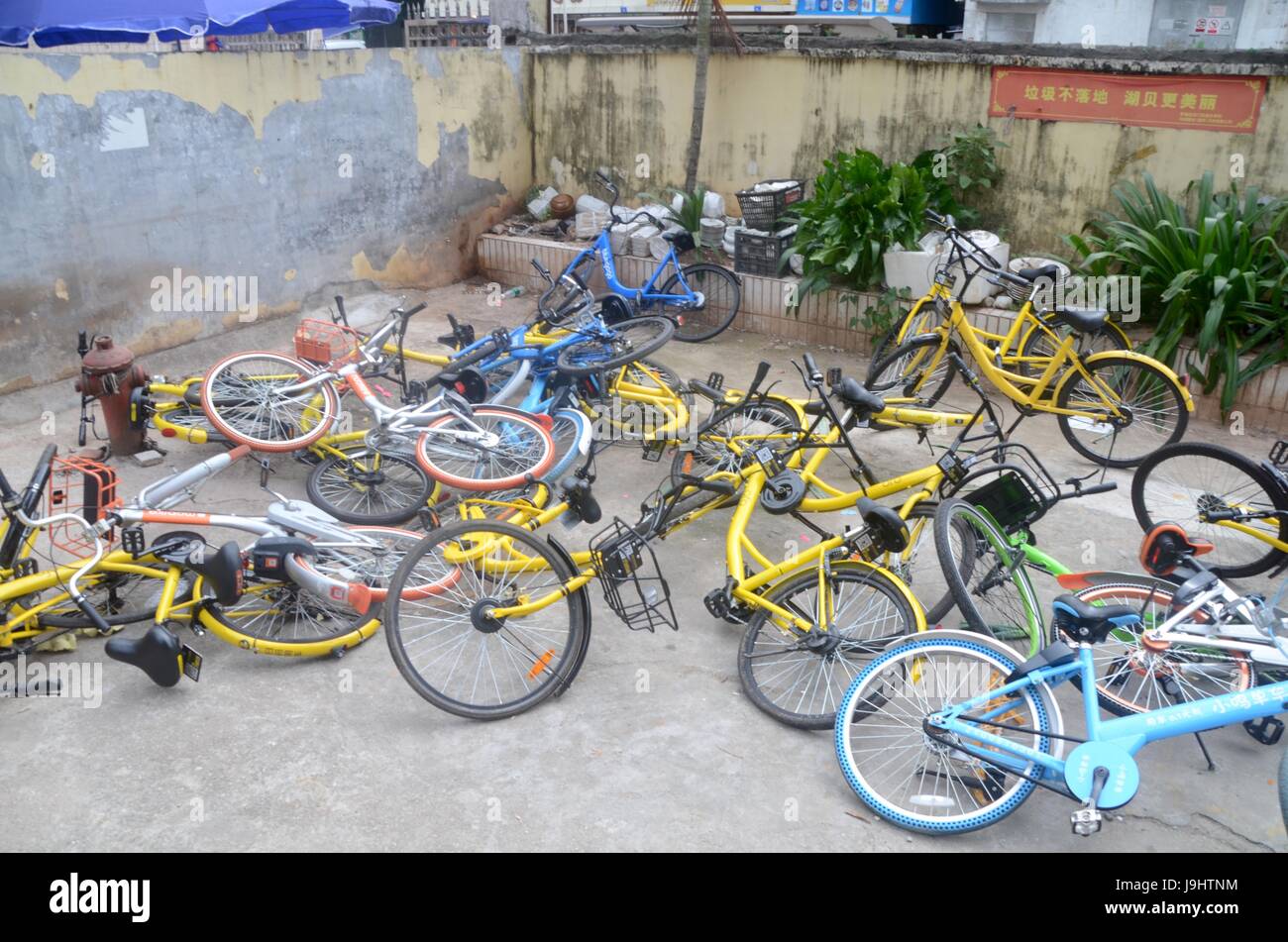 ofo locations