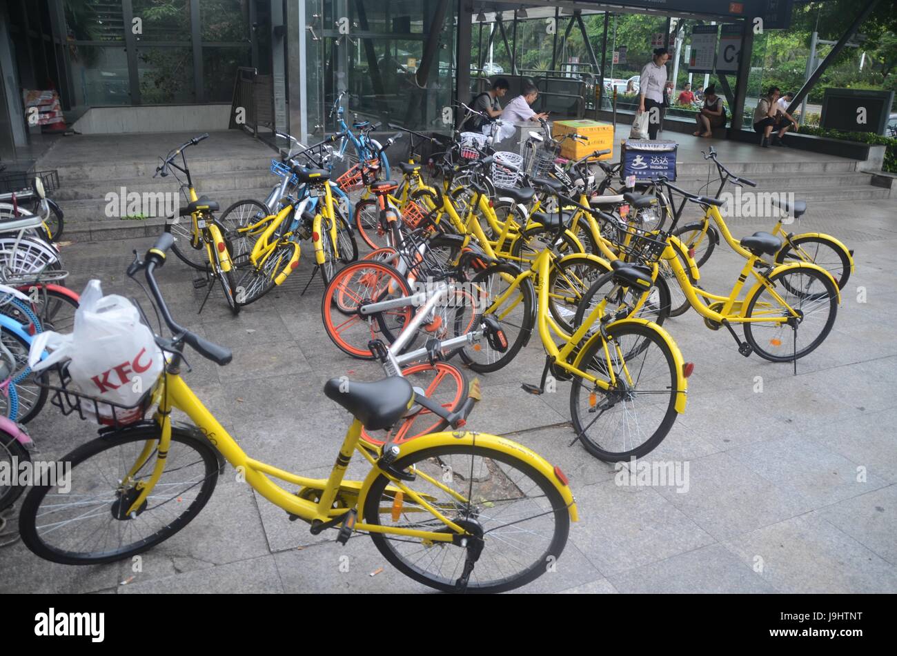 ofo phone
