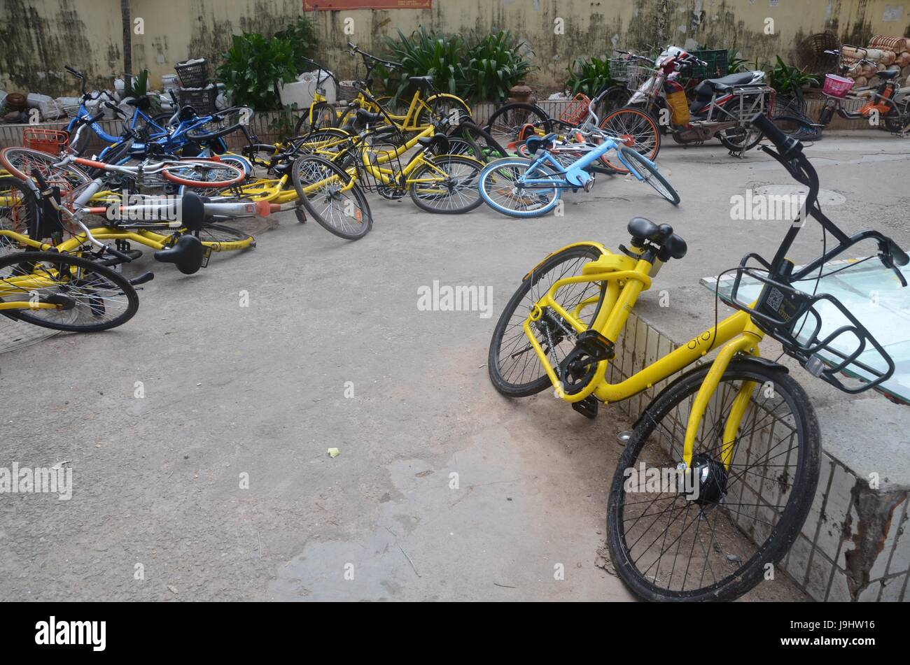 ofo locations