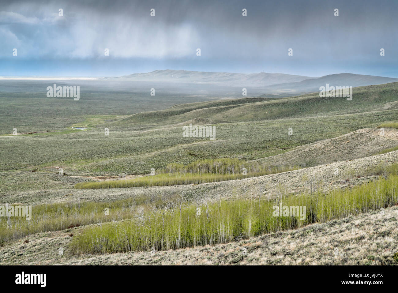 Aspen rain hi-res stock photography and images - Alamy