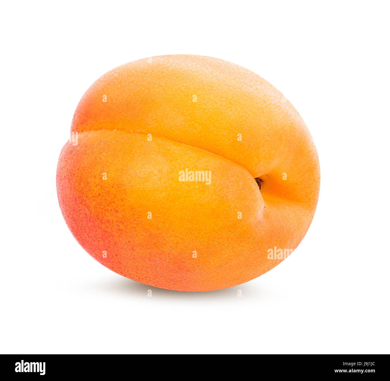 apricot isolated on white background Stock Photo - Alamy