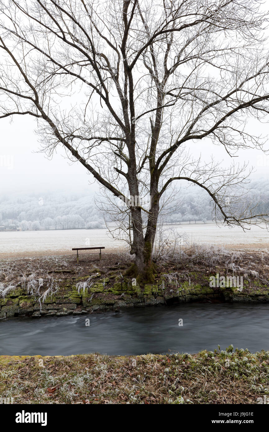 Winter magic, river, River Saale, Bad Kissingen Auwiesen (meadow), hoarfrost, cold, fog, Bad Kissingen, Franconia, Bavaria, Germany, Europe Stock Photo