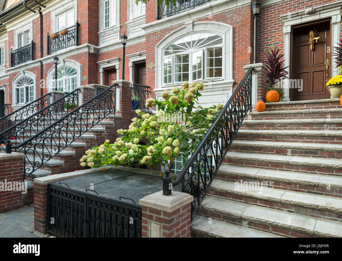 Residential houses in the Cobble Hill, Brooklyn, Long Island, New York