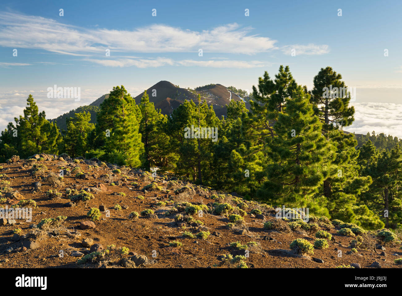 parque natural de cumbre vieja