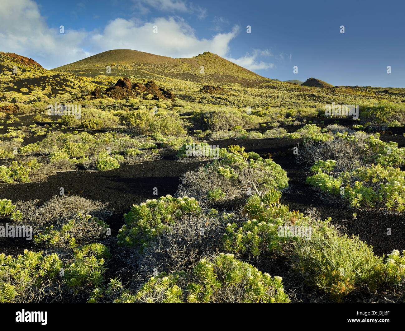 Volcano scenery at the Pico de Tablas, island La Palma, Canary islands ...