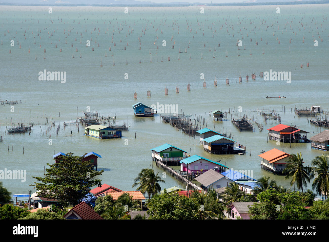 Thailand, Songkhla, Koh Yo, Aquacultural farm, Freshwater fish farming