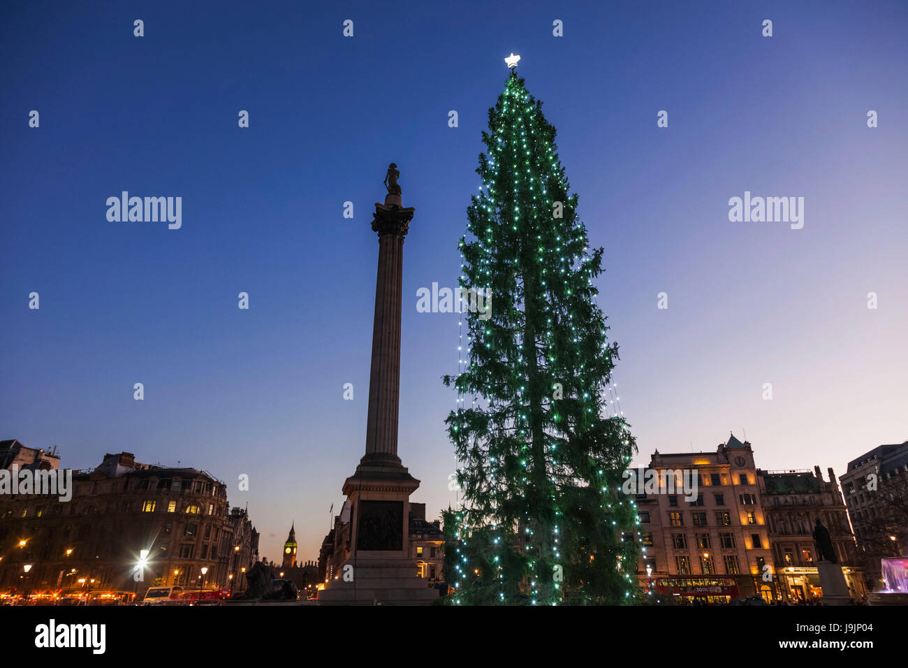 England, London, Trafalgar Square, Christmas Tree and Nelson