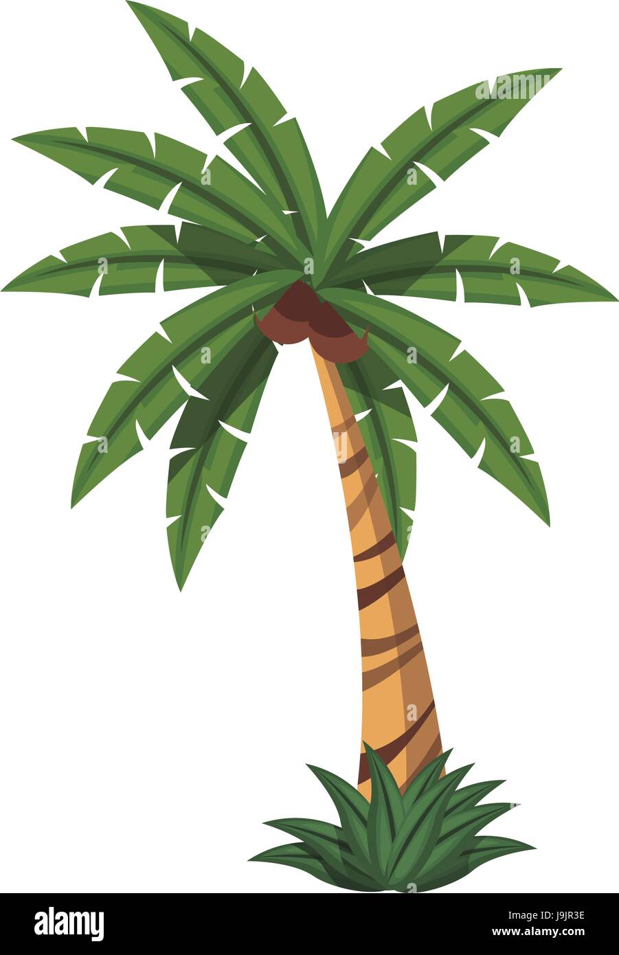 palm tree tropical natural leaves image Stock Vector Image & Art - Alamy