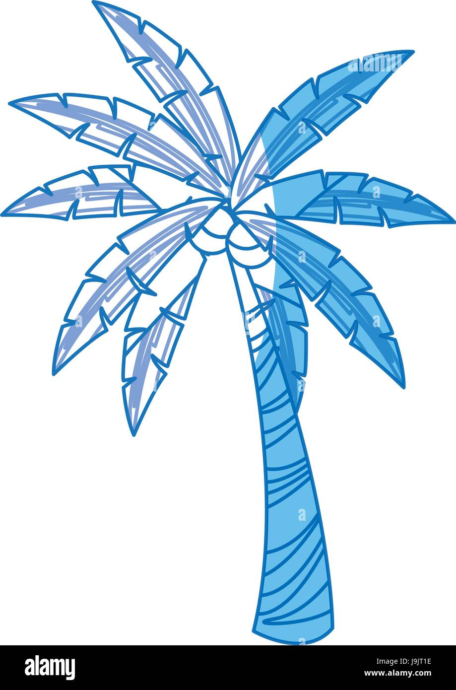 palm tree tropical plant natural image Stock Vector Image & Art - Alamy