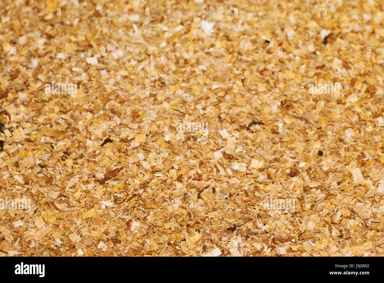 wood, saw, splinter, say, chipping, shavings, sawdust, backdrop ...