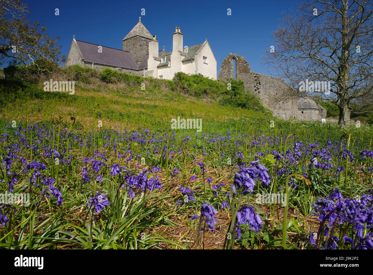 Penmon Priory Anglesey Stock Photo