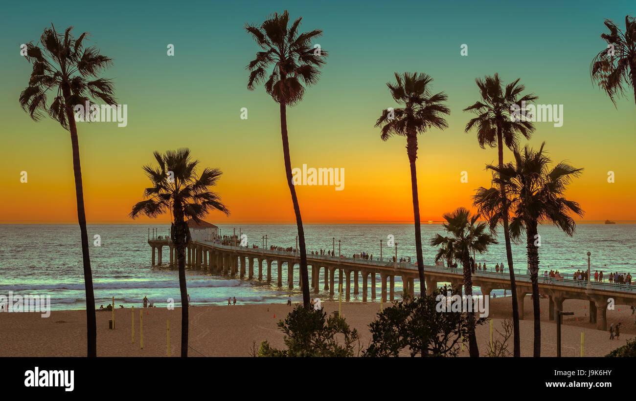 Sunset at Palm trees on Manhattan Beach. Fashion travel and tropical beach concept. Stock Photo