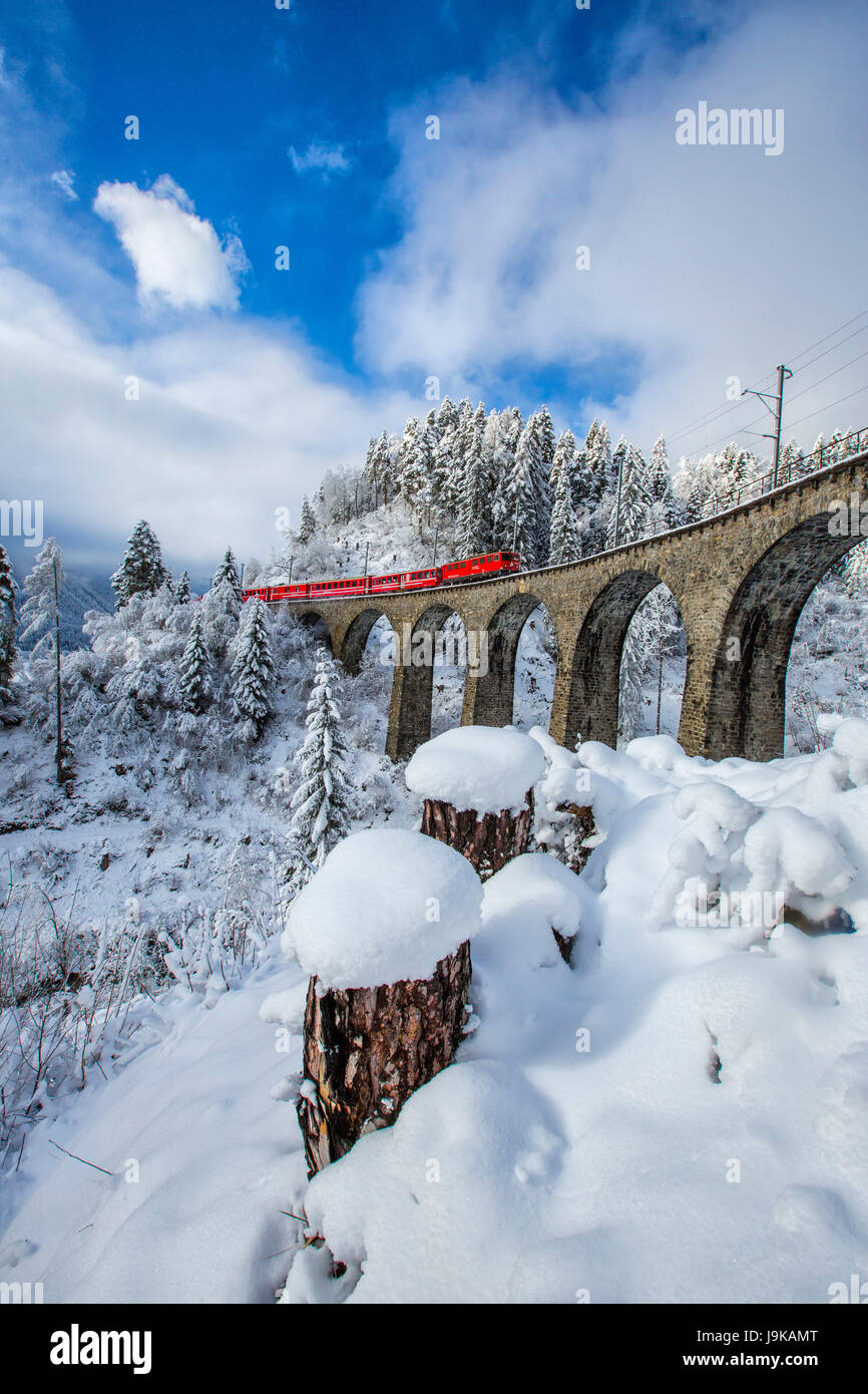 Filisur Pass Bernina Express passes through the snowy woods around Filisur Canton of ...