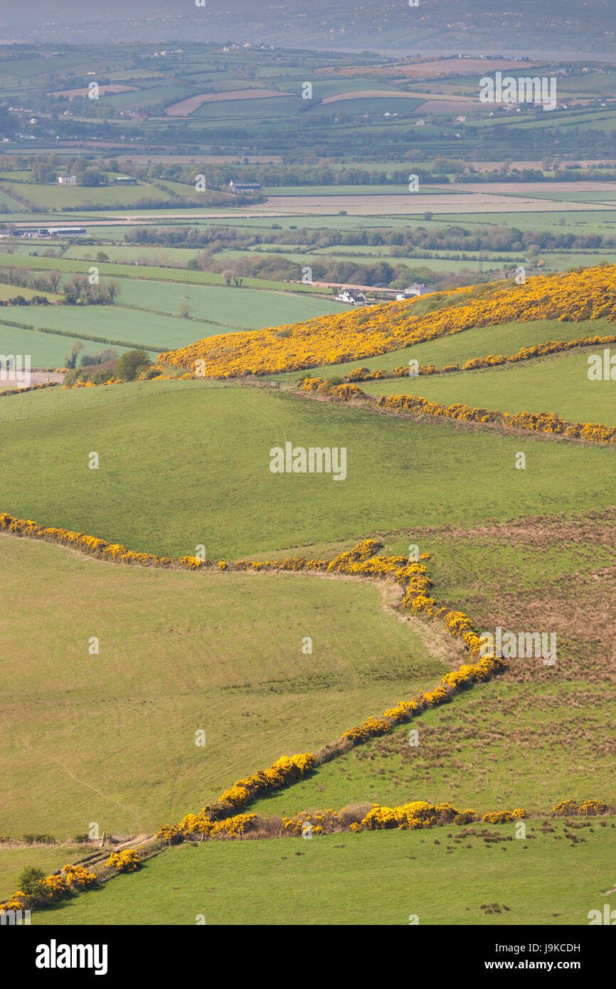 Ireland, County Donegal, Burt, hillside landscape Stock Photo