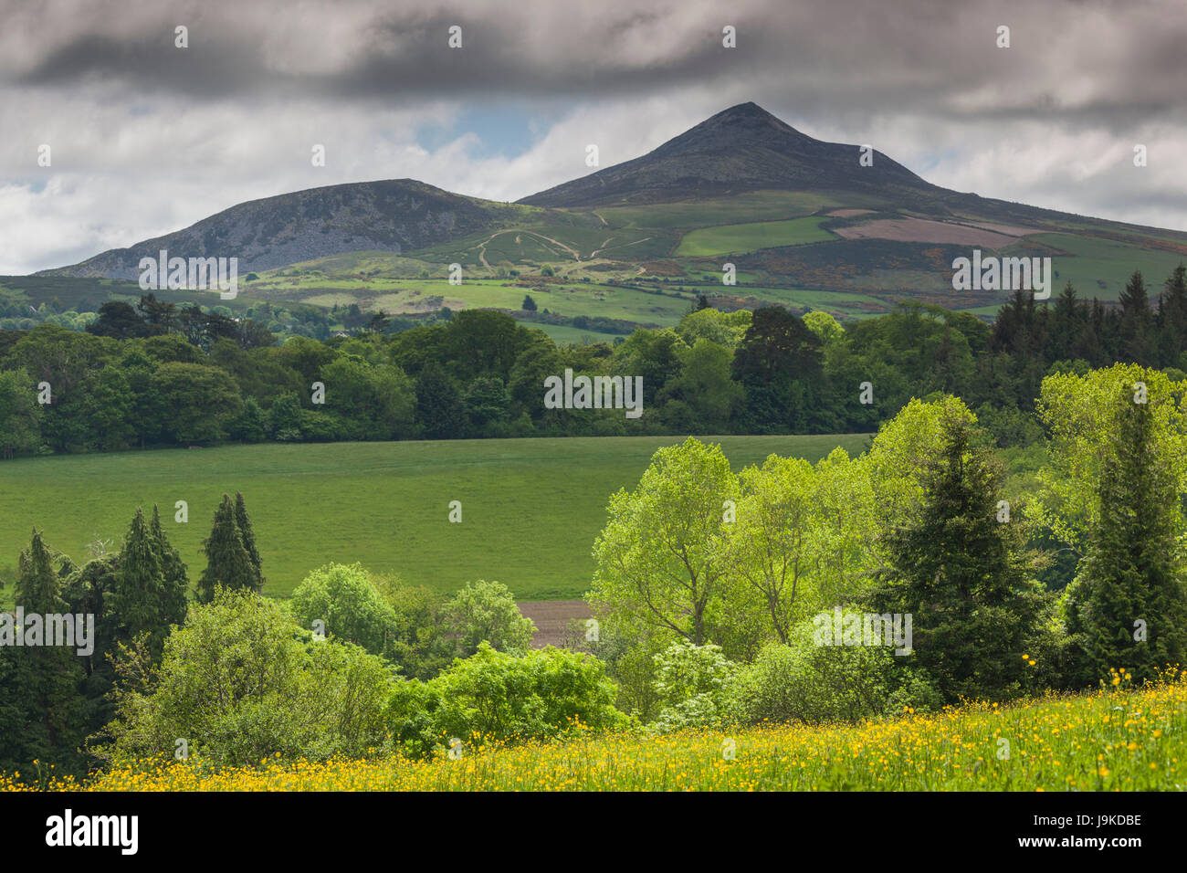 Ireland, County Wicklow, Enniskerry, Powerscourt Estate, landscape with