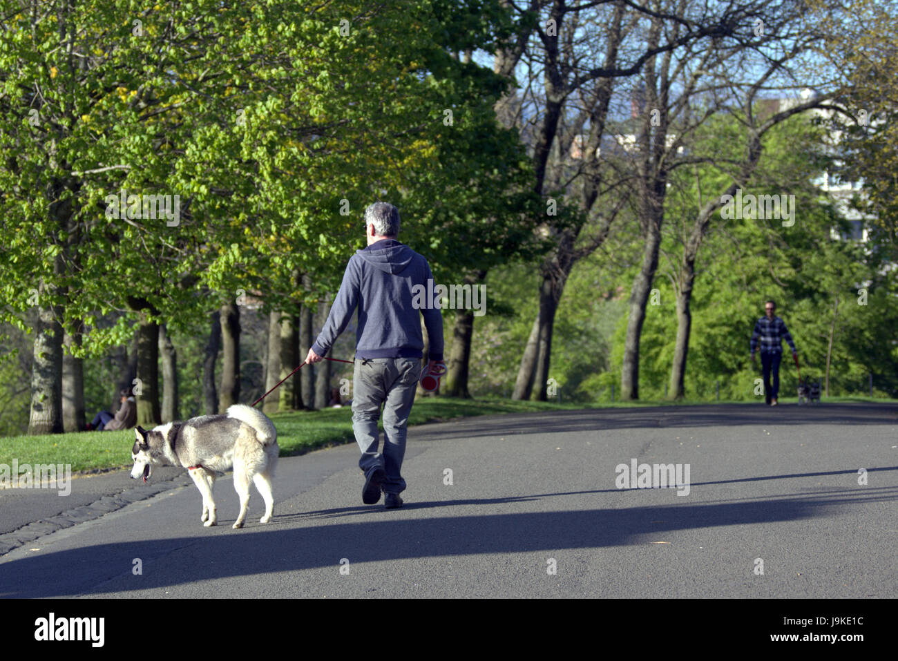 Glasgow Kelvingrove park scene dog walkers Stock Photo Alamy