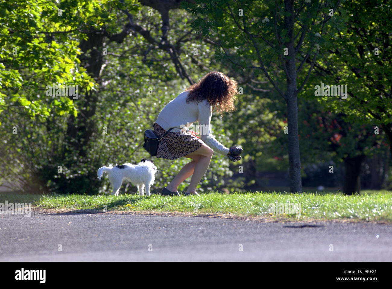 Glasgow Kelvingrove park scenes girl picking up poop dog Stock Photo - Alamy, image size:1300x958