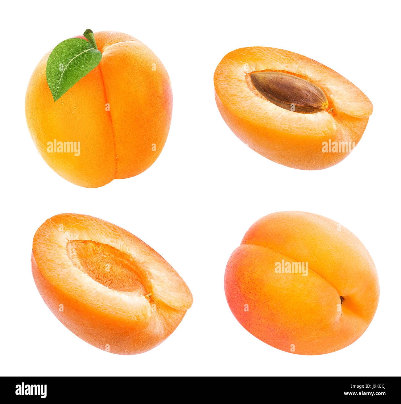 apricot isolated on white background Stock Photo - Alamy
