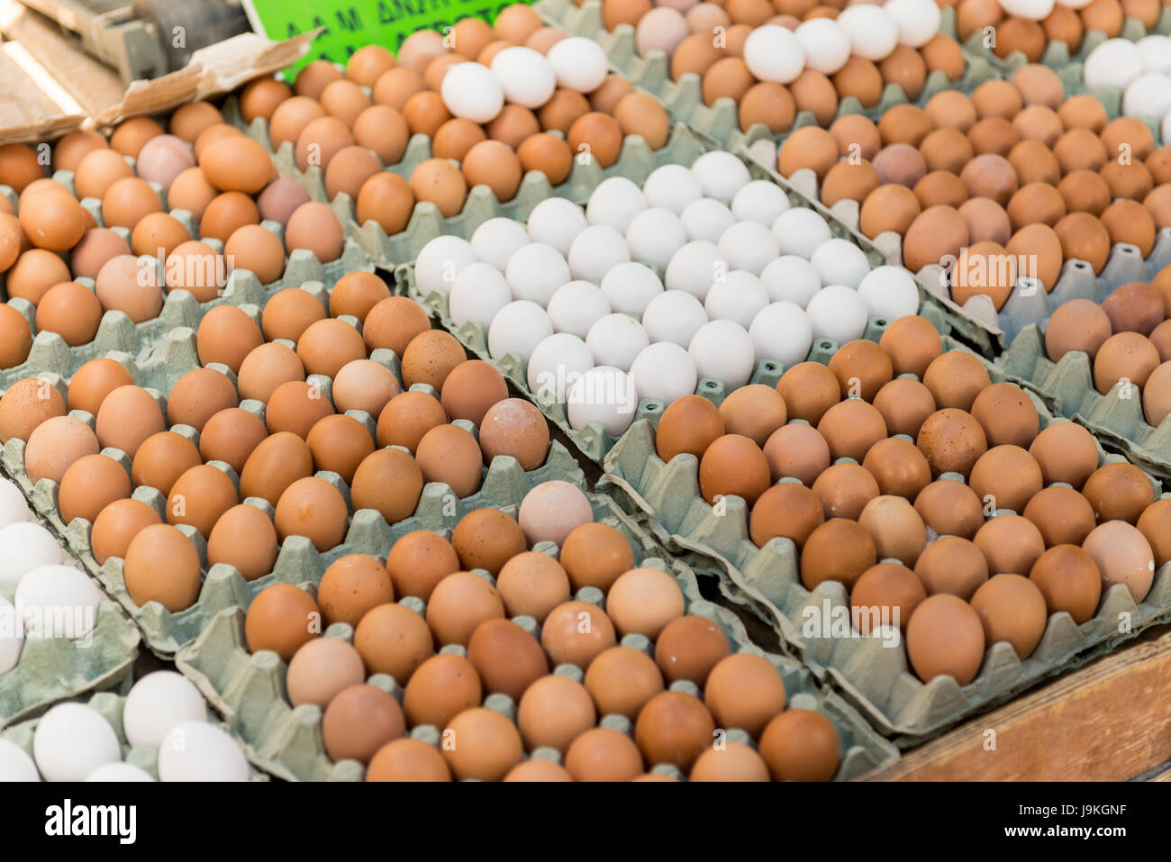 Multiple hen hi-res stock photography and images - Alamy