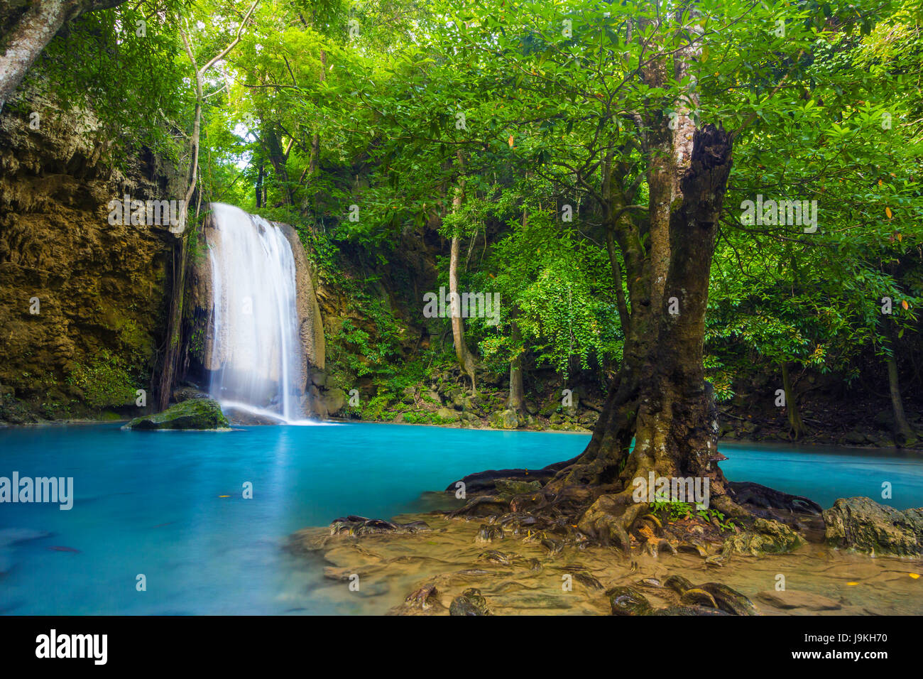 Erawan waterfall environment with big tree and emerald water in Kanchanaburi, Thailand Stock Photo