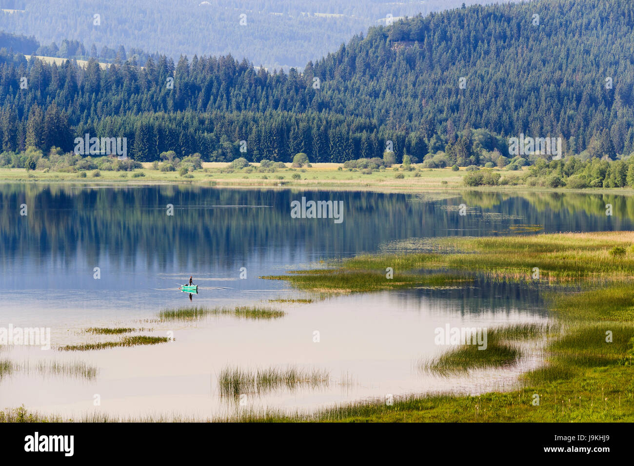 France, Doubs, Jura Mountains, Labergement Sainte Marie, Remoray lake in spring Stock Photo