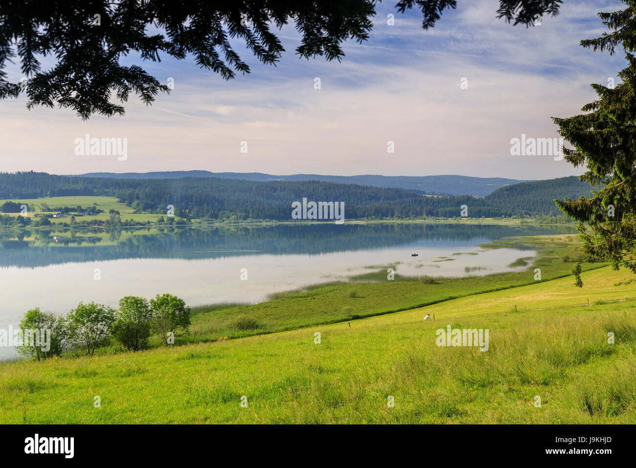 France, Doubs, Jura Mountains, Labergement Sainte Marie, Remoray lake in spring Stock Photo