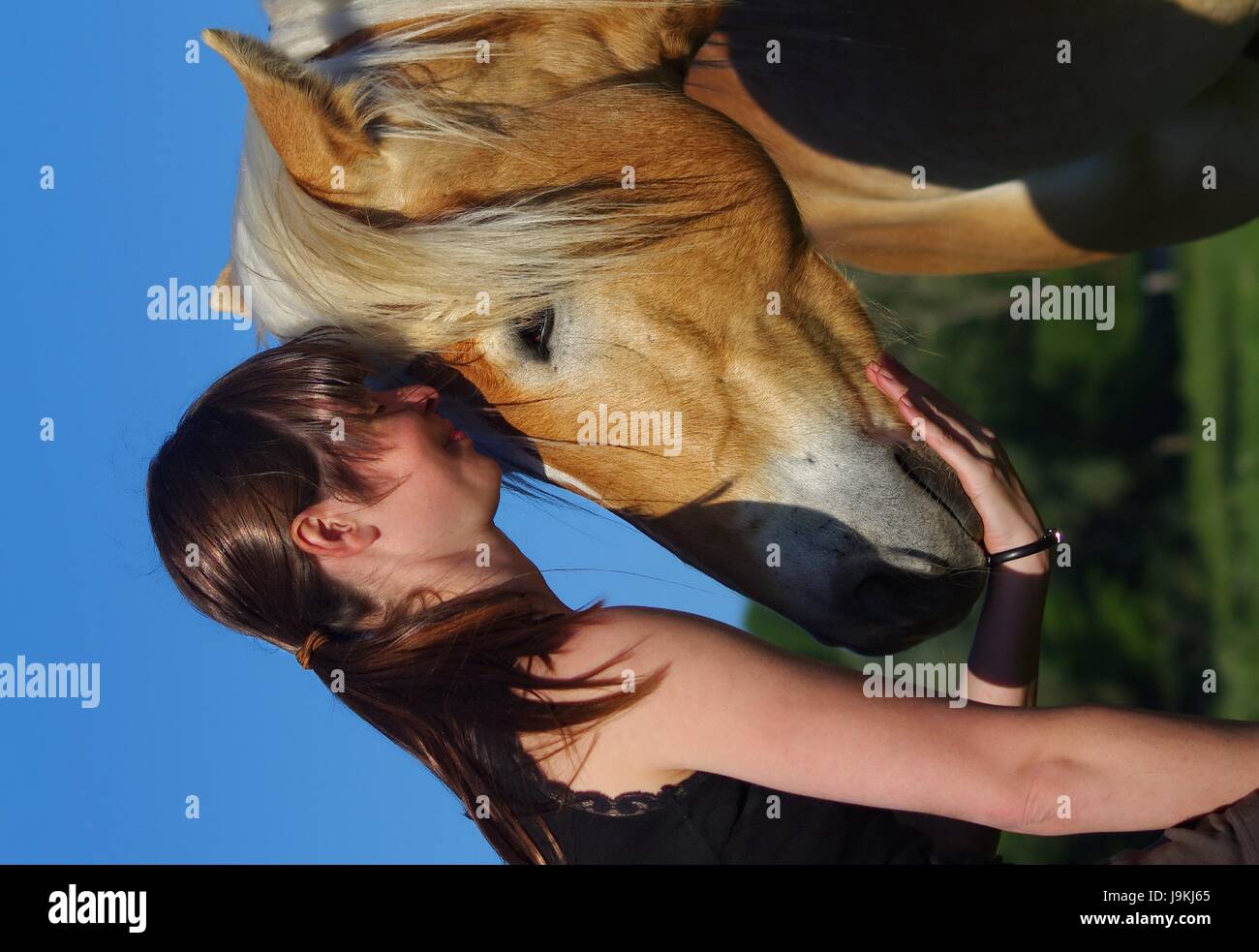 woman, friendship, sport, sports, ride, horse, stallion, love of animals, Stock Photo