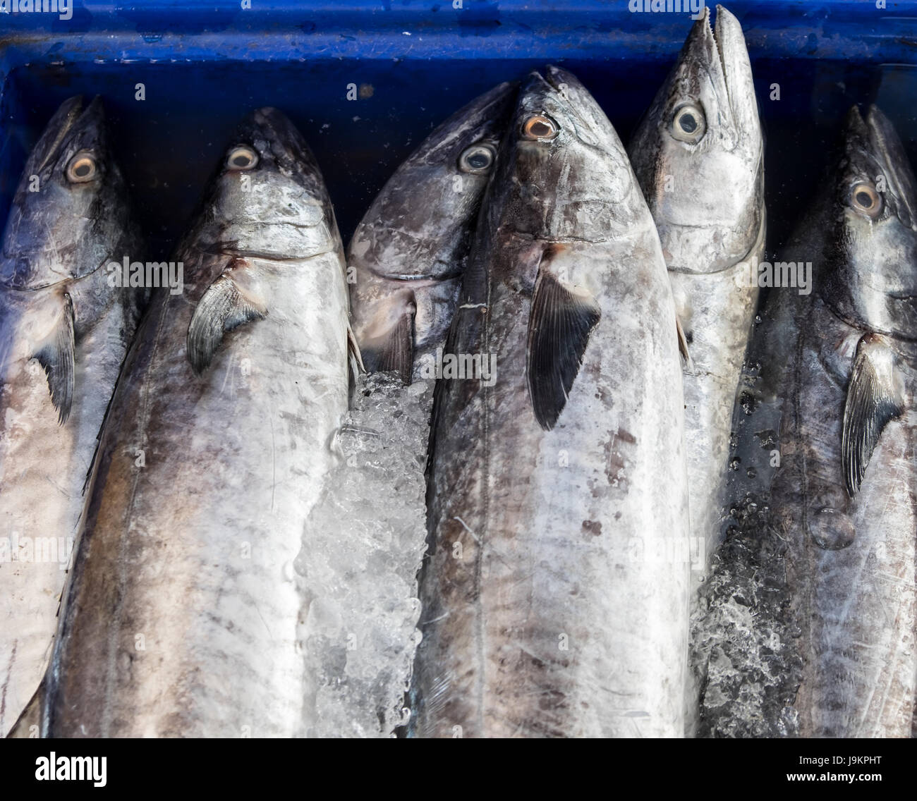 Fresh fish on ice in the market Stock Photo