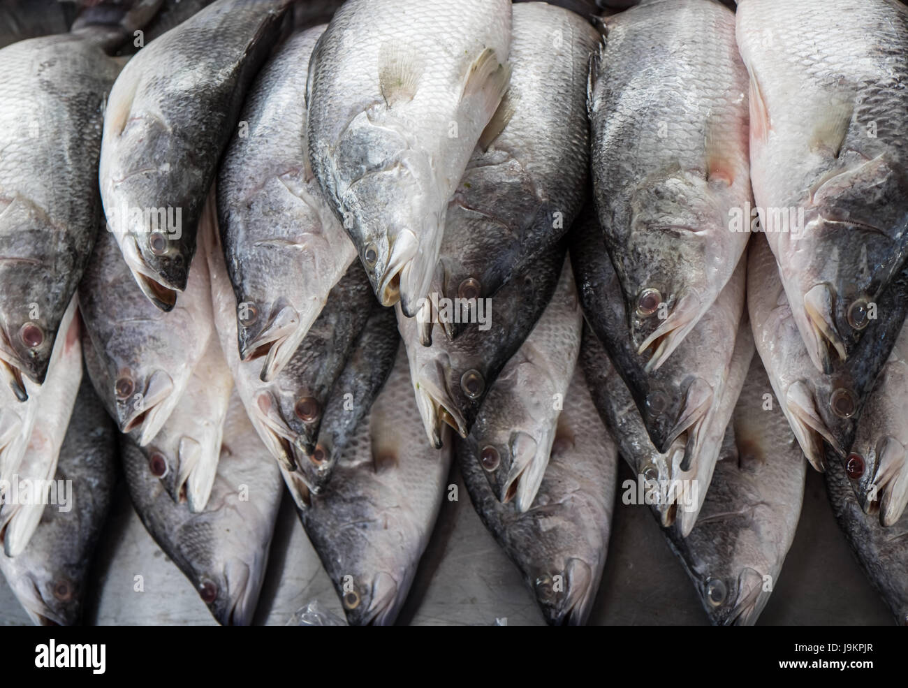 Fresh fish on ice in the market Stock Photo