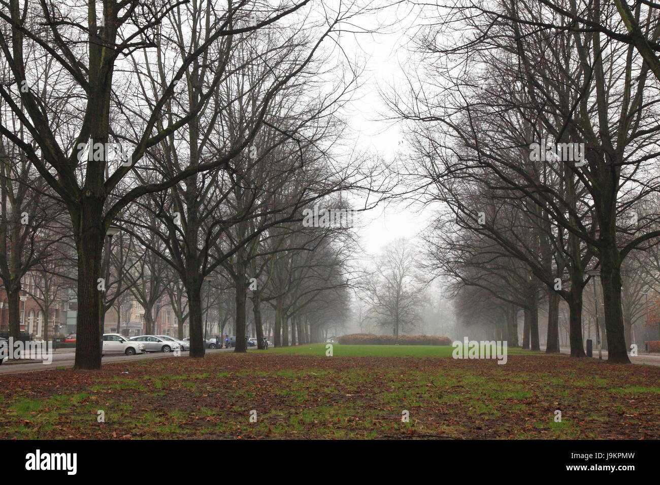 The gardens look amazing during winter in foggy climate Stock Photo