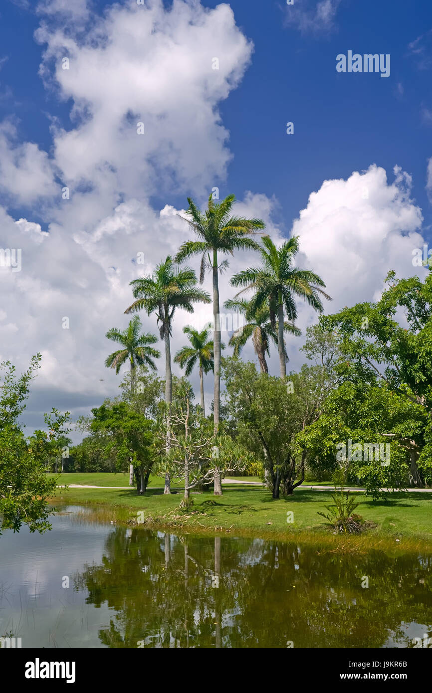 blue, beautiful, beauteously, nice, famous, tree, trees, park, garden ...