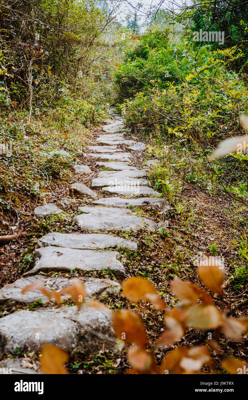 The ancient stone path in the mountain Stock Photo - Alamy