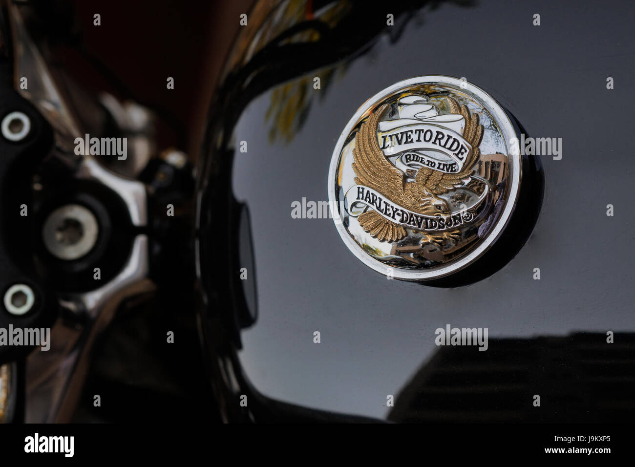 Harley Davidson motorcycle Logo on fuel tank cap, India, Asia Stock Photo