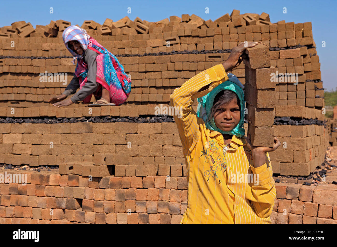girl carrying bricks, barwani, madhya pradesh, India, Asia Stock Photo