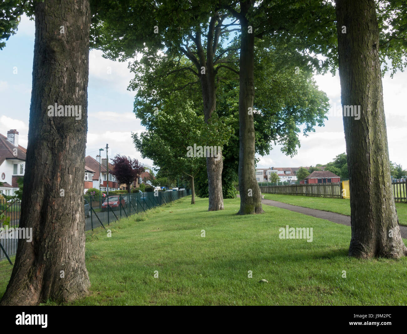 Stanley Park Carshalton Stock Photo Alamy