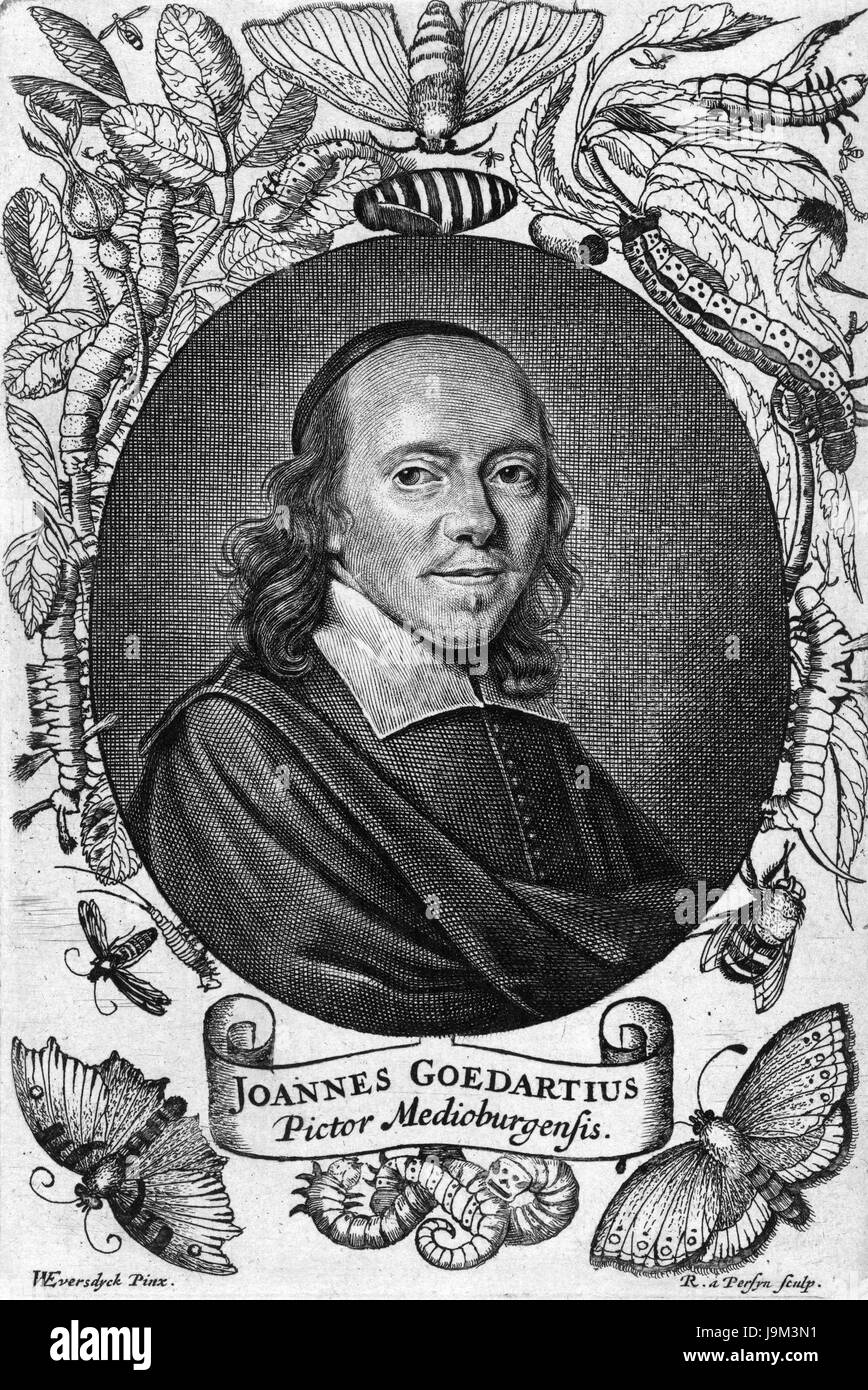 JAN GOEDART (1617-1668) Dutch entomologist Stock Photo
