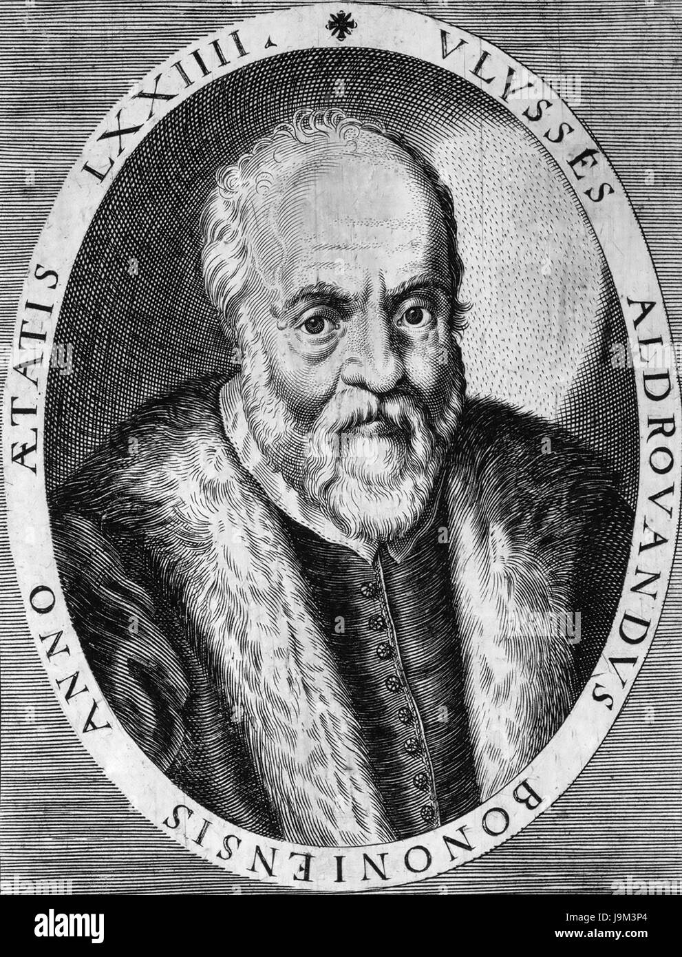 ULISSE ALDROVANDI (1522-1605) Italian naturalist Stock Photo