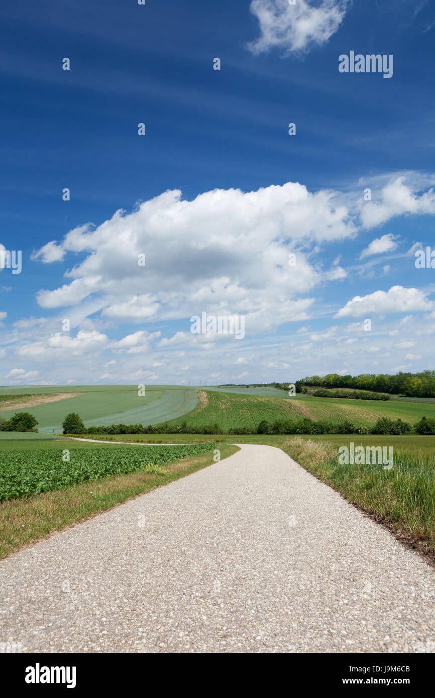 landscape with road Stock Photo