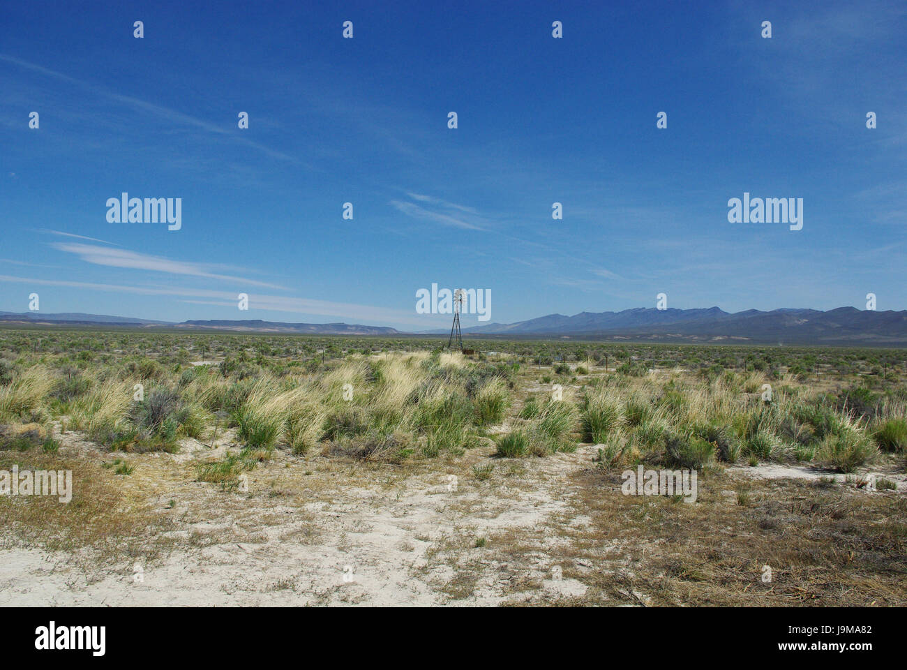 desert, wasteland, width, steppe, shrub, bush, blue, desert, wasteland