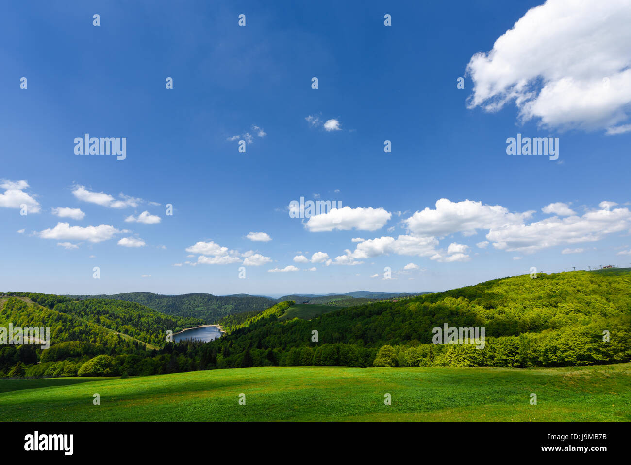 Idyllic lake in French Alsace surrounded by green meadows and forest. France Stock Photo