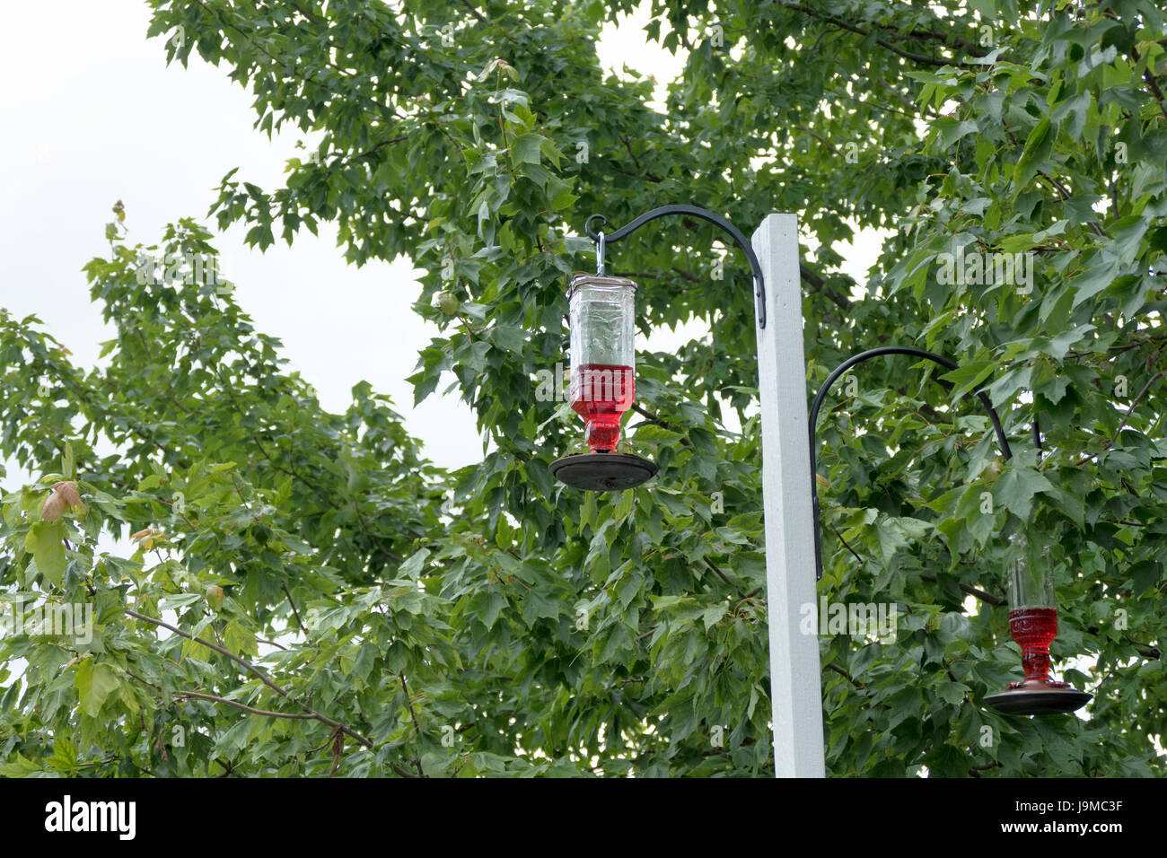 Black Hooks On White Post Holding Humming Bird Feeders Stock Photo