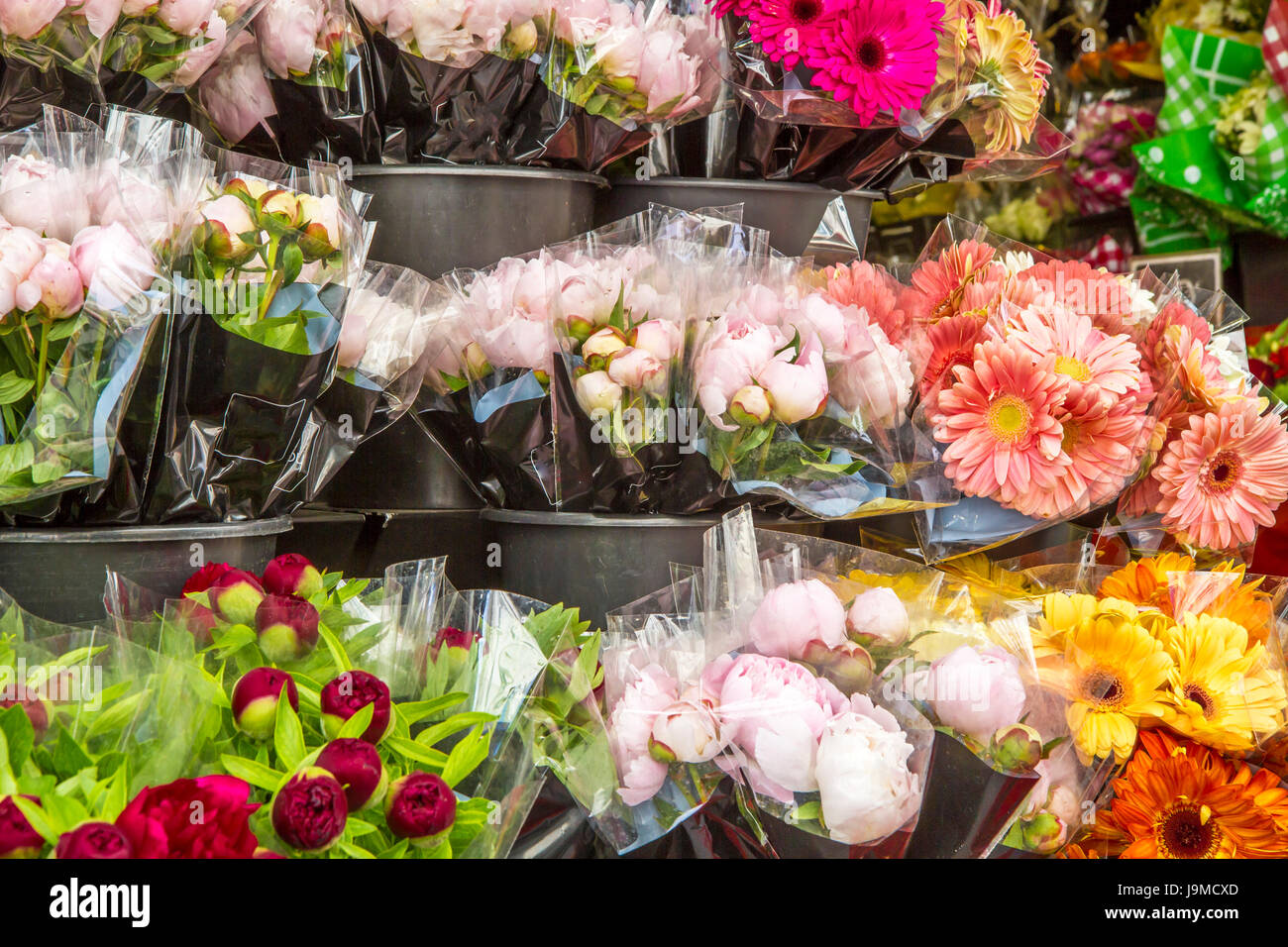 selection of cut flowers at a market in paris,france Stock Photo