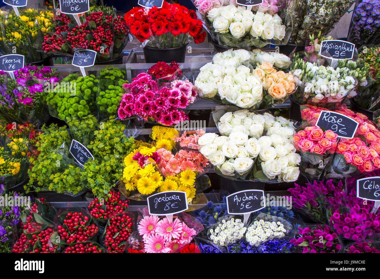 flower, flowers, plant, cut flowers, colourful, flower shop, weekly market, Stock Photo