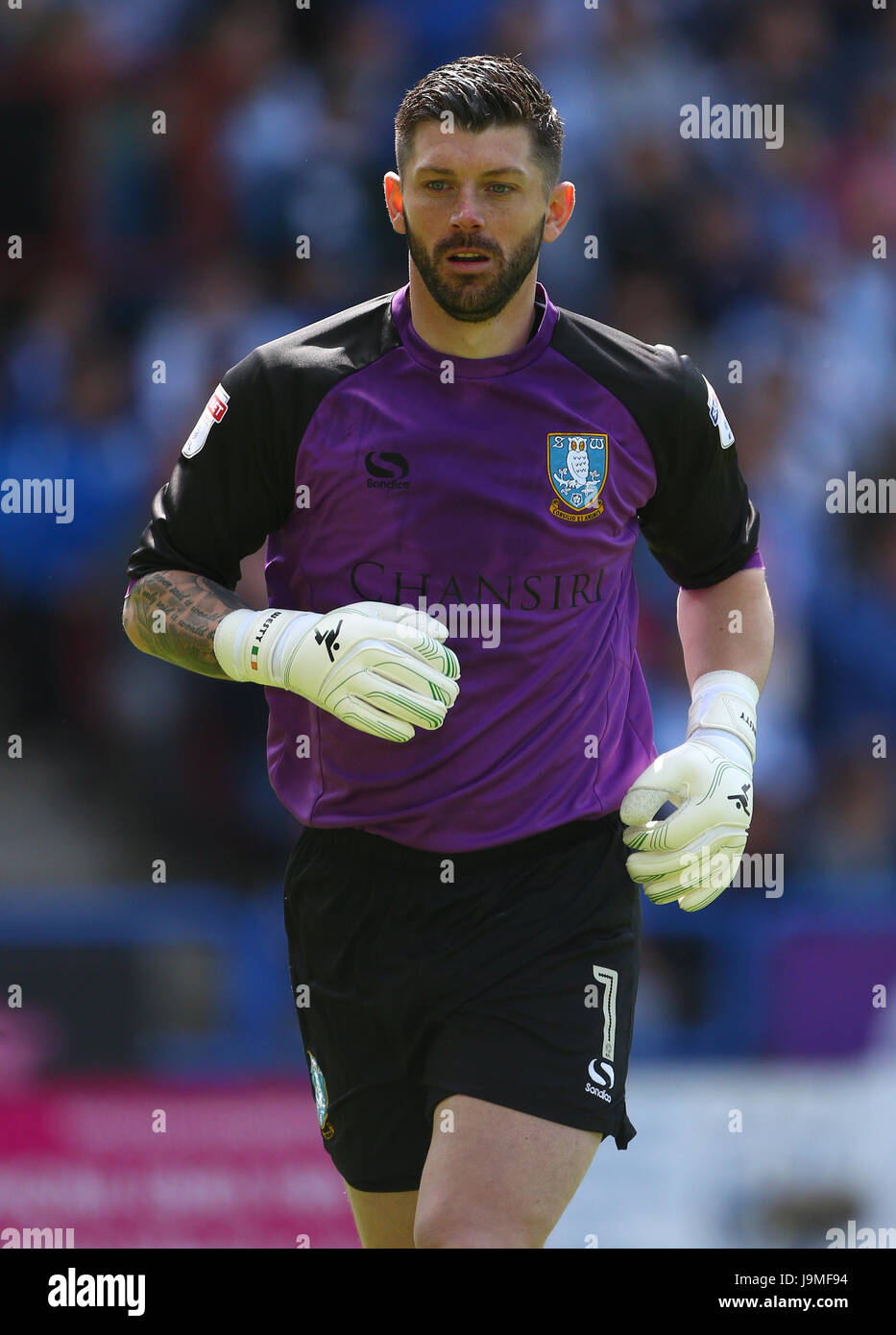 Sheffield Wednesday goalkeeper Keiren Westwood Stock Photo - Alamy