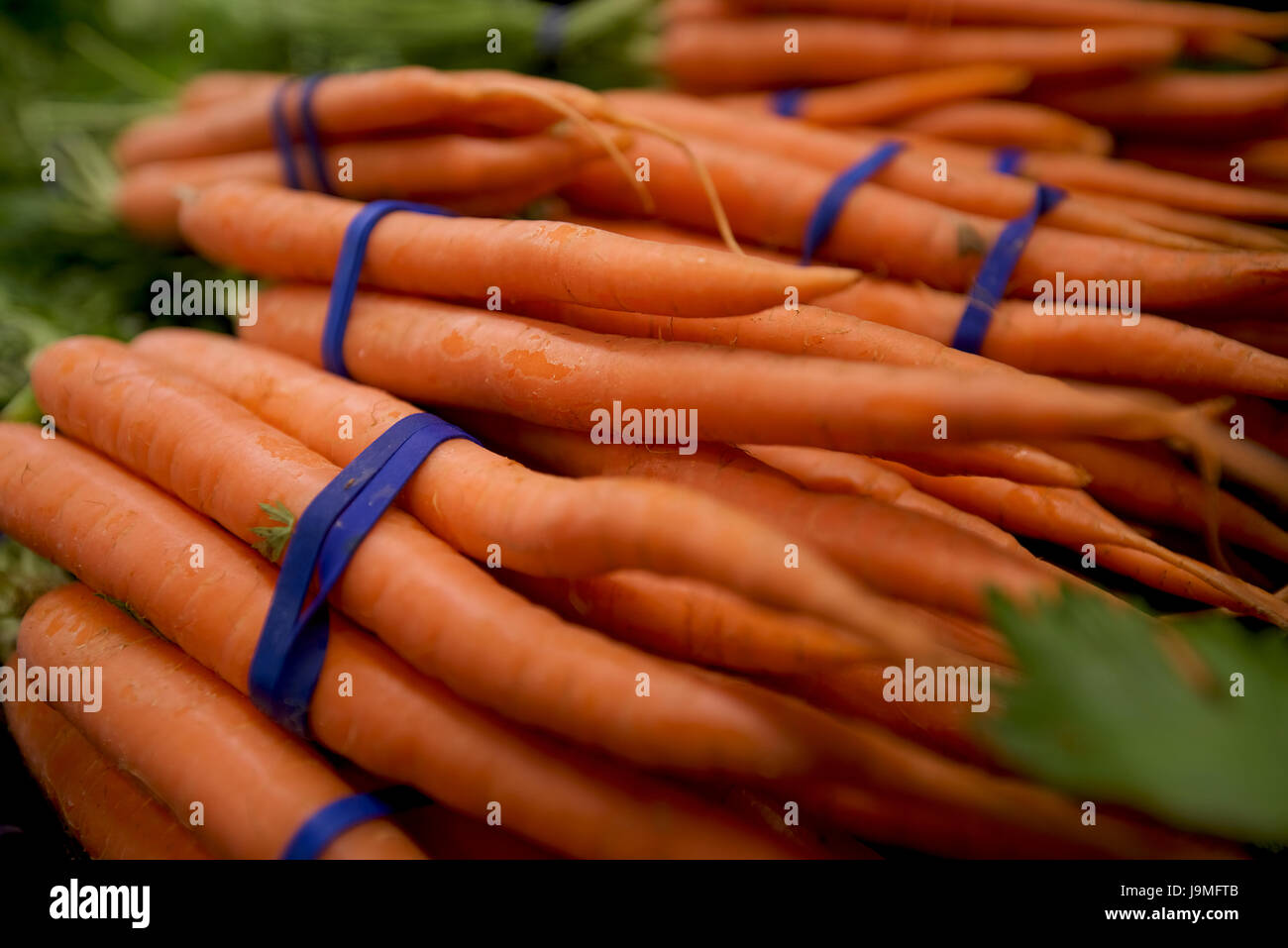 Bundles of carrots for sale in a vegetable market. Stock Photo