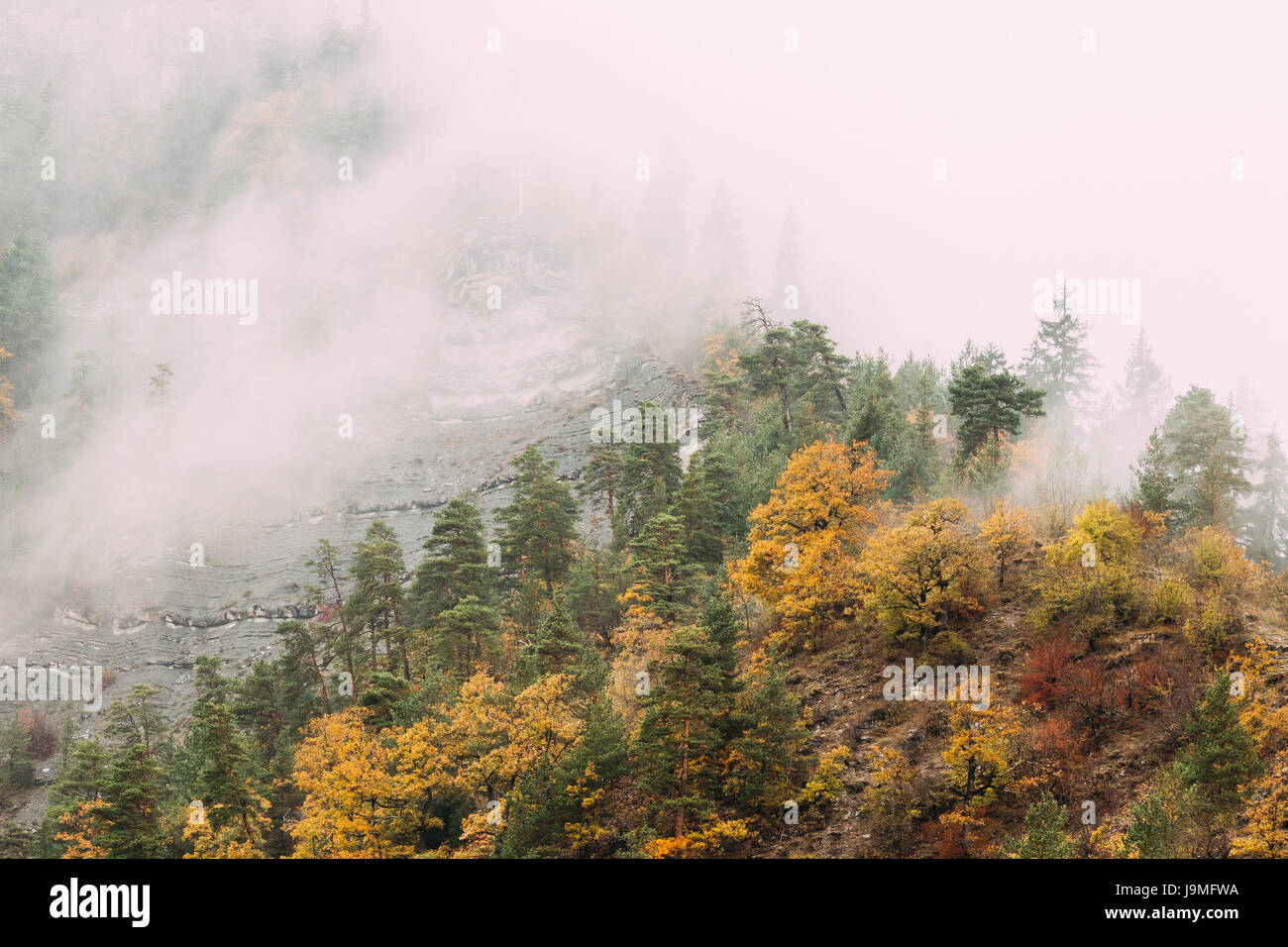 Pines Growing On Rocky Slope Of Mountains. Clouds Fly Low Over Rocks And Forest Autumn Nature Landscape. Stock Photo