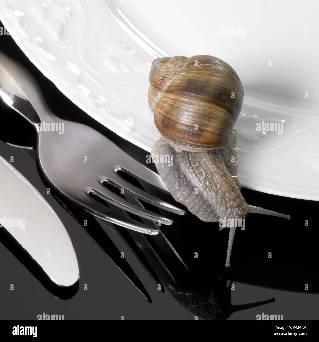 snail, edible snail, fork, cutlery, harness, motion, postponement, moving, Stock Photo